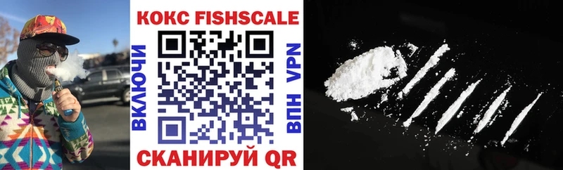 Кокаин FishScale  Купить где  Красный Кут 