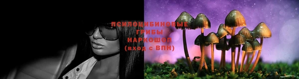 ешки Красноперекопск
