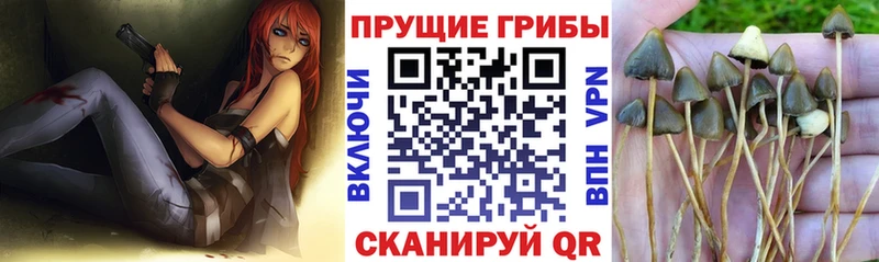 Псилоцибиновые грибы мухоморы  Купить  Красный Кут 
